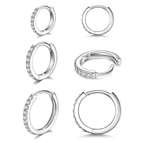 Image of Small Hoop Earrings